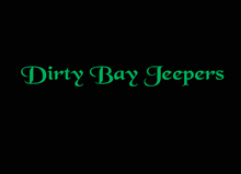 Load image into Gallery viewer, DBJ Windshield Banner- Reflective!